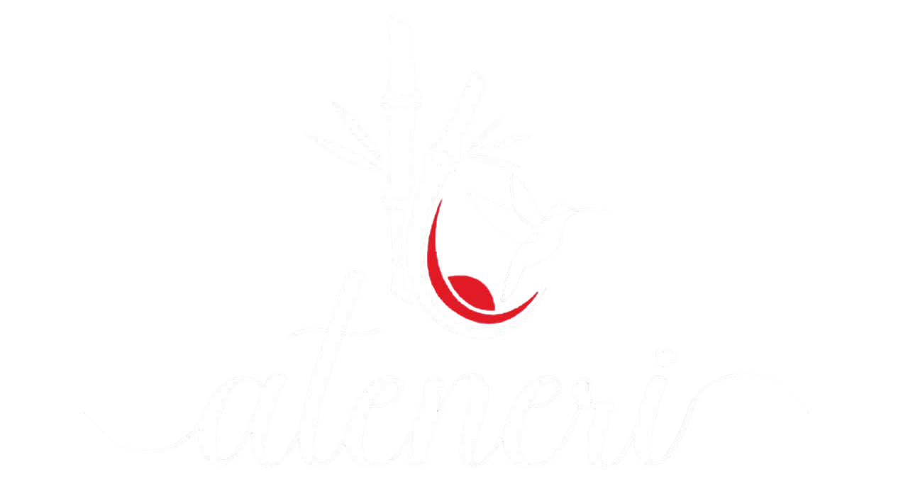 Logo ateneri